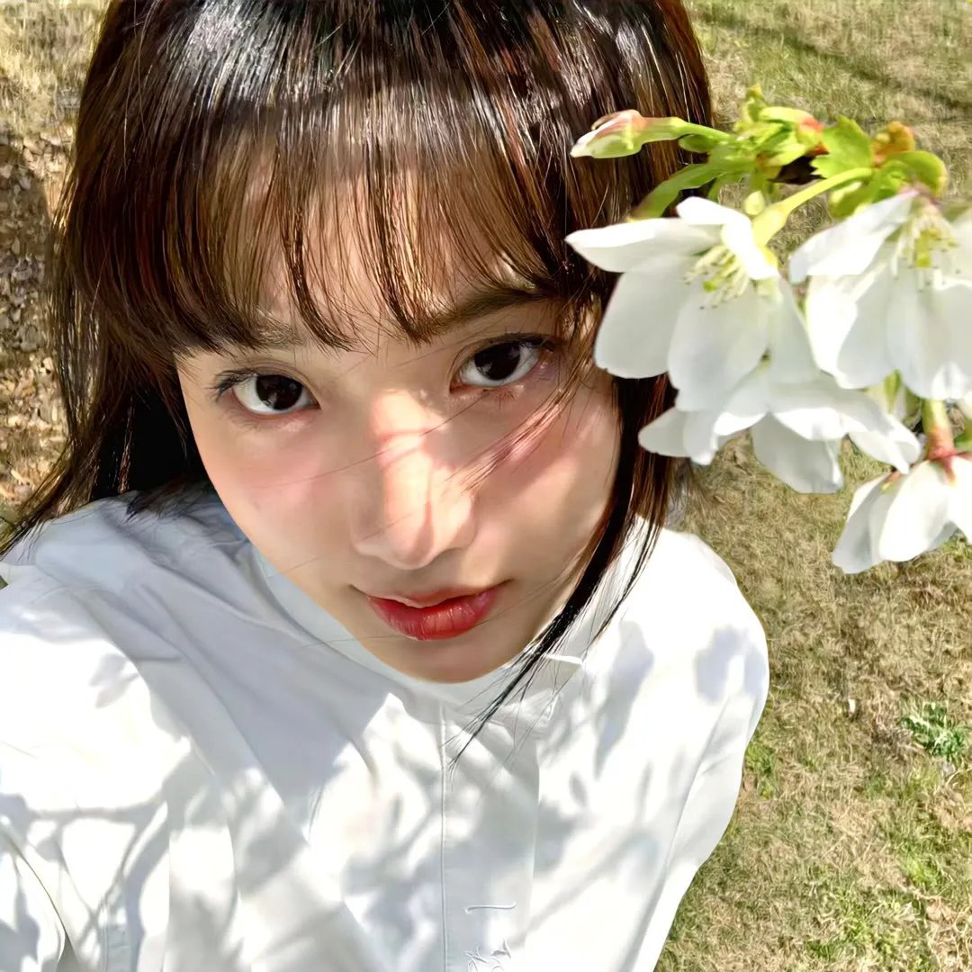 风流情种